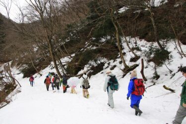 瀬戸の冬！　～森散策ツアー～　第3弾